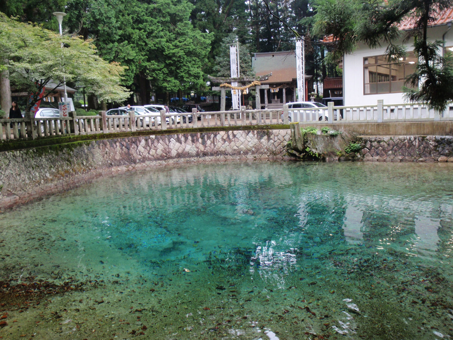 別府弁天池 (Beppu-benten-ike pond)