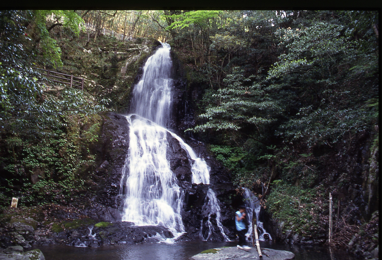 秋芳白糸の滝 (Shiraito-no-taki waterfall)